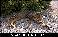 Kamera des Lumia 950 / 950 XL-wp_20160804_12_05_26_pro_636064464855759843.jpg