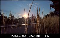 Kamera des Lumia 950 / 950 XL-wp_20160806_19_46_55_pro.jpg