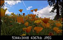 Kamera des Lumia 950 / 950 XL-wp_20160714_14_29_28_rich.jpg