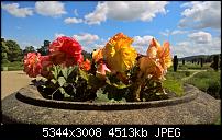 Kamera des Lumia 950 / 950 XL-wp_20160714_14_39_25_rich.jpg