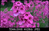 Kamera des Lumia 950 / 950 XL-wp_20160720_11_34_23_rich.jpg