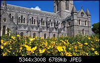 Kamera des Lumia 950 / 950 XL-wp_20160716_14_02_48_rich.jpg