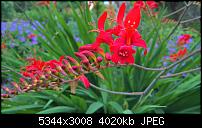Kamera des Lumia 950 / 950 XL-wp_20160720_12_01_21_rich.jpg