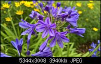 Kamera des Lumia 950 / 950 XL-wp_20160720_13_34_20_rich.jpg