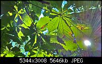 Kamera des Lumia 950 / 950 XL-wp_20160819_10_29_28_rich_636073732495350505.jpg