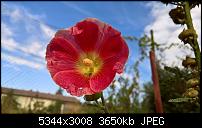 Kamera des Lumia 950 / 950 XL-wp_20160821_11_00_07_pro_636073755840466093.jpg