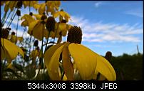 Kamera des Lumia 950 / 950 XL-wp_20160821_10_59_32_pro_636073757413226485.jpg