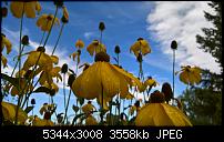 Kamera des Lumia 950 / 950 XL-wp_20160821_10_58_15_pro_636073759987794123.jpg