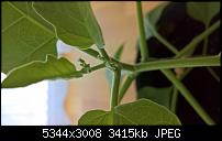 Kamera des Lumia 950 / 950 XL-wp_20160821_16_55_03_pro_636074579573481205.jpg