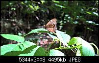 Kamera des Lumia 950 / 950 XL-wp_20160823_16_06_06_rich.jpg