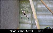 Kamera des Lumia 950 / 950 XL-wp_20160824_11_25_58_raw_636076541495780980.jpg