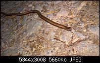 Kamera des Lumia 950 / 950 XL-wp_20160829_19_00_57_pro.jpg