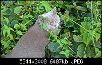 Kamera des Lumia 950 / 950 XL-wp_20160727_18_17_24_pro.jpg