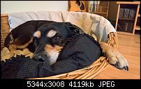 Kamera des Lumia 950 / 950 XL-wp_20161015_12_54_24_rich.jpg