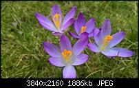 Kamera des Lumia 950 / 950 XL-wp_20170304_14_41_54_raw_636243226910337055.jpg