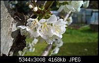 Kamera des Lumia 950 / 950 XL-wp_20170406_11_15_44_pro_636270744124449428.jpg