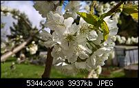 Kamera des Lumia 950 / 950 XL-wp_20170406_11_15_22_pro_636270744264555968.jpg