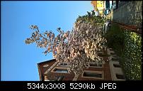 Kamera des Lumia 950 / 950 XL-wp_20170409_15_38_19_pro_li.jpg