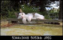 Kamera des Lumia 950 / 950 XL-wp_20170412_17_11_11_rich_636276183526595094.jpg