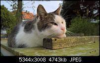 Kamera des Lumia 950 / 950 XL-wp_20170412_17_09_54_rich_636276183755997490.jpg