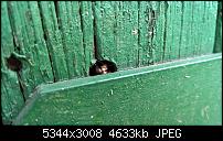 Kamera des Lumia 950 / 950 XL-wp_20170422_13_36_34_pro_636284655454551541.jpg