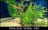 Kamera des Lumia 950 / 950 XL-wp_20170118_13_30_38_pro_li.jpg