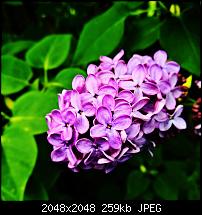 Kamera des Lumia 950 / 950 XL-18556599_10154635733442616_1729345227512981943_o.jpg