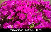 Kamera des Lumia 950 / 950 XL-wp_20170511_15_29_20_pro_li-2-.jpg