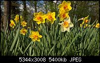 Kamera des Lumia 950 / 950 XL-fr-hling.jpg