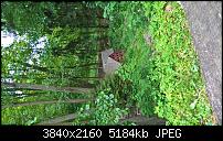 Kamera des Lumia 950 / 950 XL-wp_20170525_10_54_29_raw_636313253127270192.jpg