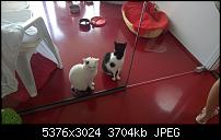 Nokia Lumia 930 - Bilder mit der Kamera und Meinungen zur Qualität-wp_20140706_12_51_22_pro__highres.jpg