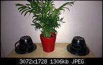 Nokia Lumia 930 - Bilder mit der Kamera und Meinungen zur Qualität-wp_20140709_007-1.jpg