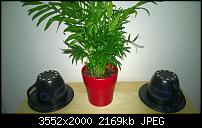 Nokia Lumia 930 - Bilder mit der Kamera und Meinungen zur Qualität-wp_20140709_007.jpg