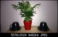 Nokia Lumia 930 - Bilder mit der Kamera und Meinungen zur Qualität-wp_20140709_18_26_45_pro.jpg