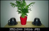 Nokia Lumia 930 - Bilder mit der Kamera und Meinungen zur Qualität-wp_20140709_18_27_31_pro.jpg