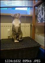 Nokia Lumia 930 - Bilder mit der Kamera und Meinungen zur Qualität-920-1.jpg