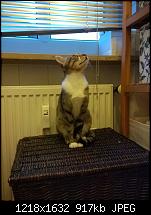 Nokia Lumia 930 - Bilder mit der Kamera und Meinungen zur Qualität-930-1.jpg