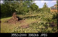 Nokia Lumia 930 - Bilder mit der Kamera und Meinungen zur Qualität-wp_20140710_001.jpg