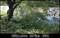 Nokia Lumia 930 - Bilder mit der Kamera und Meinungen zur Qualität-wp_20140710_002.jpg