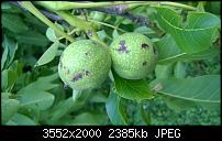 Nokia Lumia 930 - Bilder mit der Kamera und Meinungen zur Qualität-wp_20140710_003.jpg