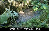 Nokia Lumia 930 - Bilder mit der Kamera und Meinungen zur Qualität-wp_20140710_004.jpg