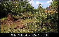 Nokia Lumia 930 - Bilder mit der Kamera und Meinungen zur Qualität-wp_20140710_17_02_12_pro__highres.jpg