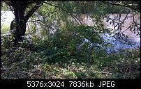 Nokia Lumia 930 - Bilder mit der Kamera und Meinungen zur Qualität-wp_20140710_17_03_08_pro__highres.jpg