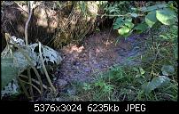 Nokia Lumia 930 - Bilder mit der Kamera und Meinungen zur Qualität-wp_20140710_17_04_33_pro__highres.jpg