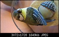 Nokia Lumia 930 - Bilder mit der Kamera und Meinungen zur Qualität-wp_20140710_17_26_31_pro.jpg