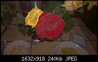 Nokia Lumia 930 - Bilder mit der Kamera und Meinungen zur Qualität-wp_20140710_003.jpg