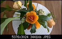 Nokia Lumia 930 - Bilder mit der Kamera und Meinungen zur Qualität-wp_20140713_10_47_12_pro__highres.jpg