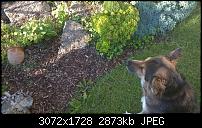 Nokia Lumia 930 - Bilder mit der Kamera und Meinungen zur Qualität-wp_20140714_19_36_46_pro.jpg
