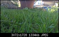 Nokia Lumia 930 - Bilder mit der Kamera und Meinungen zur Qualität-wp_20140714_19_40_18_pro.jpg
