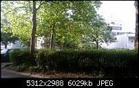 Nokia Lumia 930 - Bilder mit der Kamera und Meinungen zur Qualität-samsung-galaxy-s5.jpg